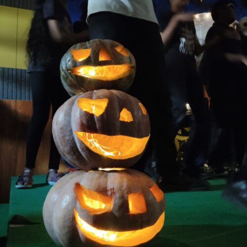 photo_2_2025-11-01_14-38-21