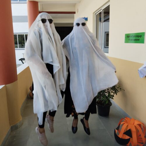 photo_4_2025-11-01_14-38-21