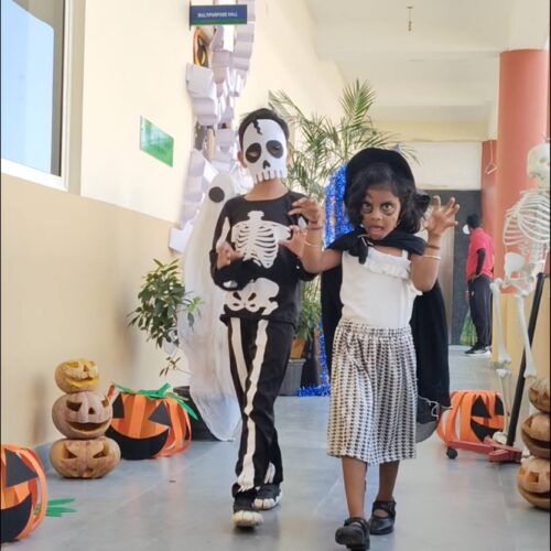 photo_5_2025-11-01_14-38-21